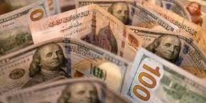 كم سعر الدولار في مصر اليوم الجمعة 10 يناير 2025؟