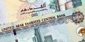 سعر الدرهم الإماراتي مقابل الجنيه المصري اليوم السبت 11 يناير 2025