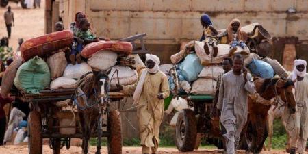 منظمة الهجرة الدولية تكشف عن أرقام مفزعة: النزاع في السودان دفع 15 مليون شخص للنزوح