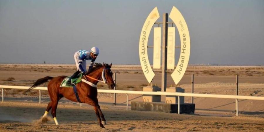 ميدان فروسية الجبيل يقيم سباقه الثامن للموسم الحالي