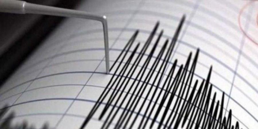 بقوة 5.2 ريختر.. زلزال يضرب محافظة بوشهر جنوبي إيران