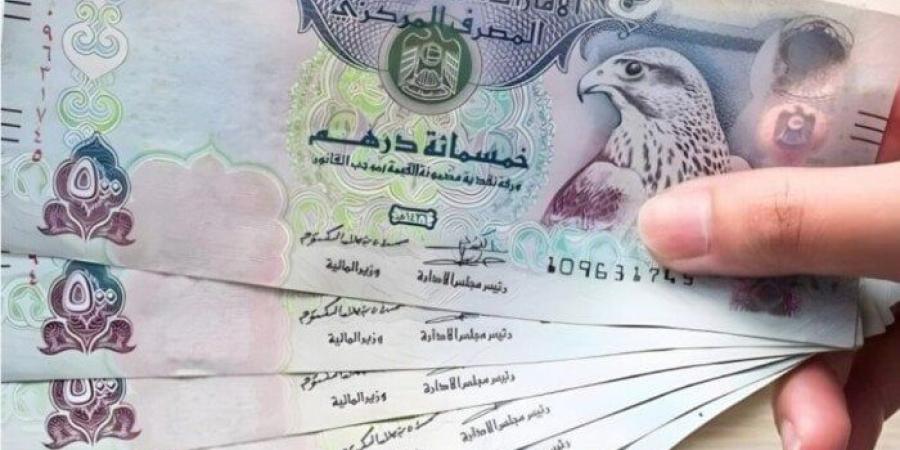 سعر الدرهم الإماراتي مقابل الجنيه اليوم السبت 11 يناير 2025 في البنوك.. وفقا لآخر تحديث