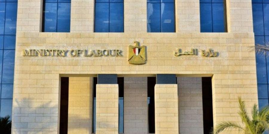 براتب 6400 جنيه.. «العمل» تعلن عن وظائف جديدة للشباب |الشروط والأوراق